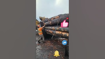 Timber Transportation Process - Timber Bundling