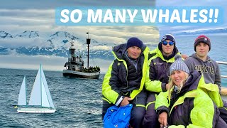 WHALE WATCHING IN HUSAVIK, ICELAND - DAY 6 - PART 2
