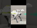 Meet the future… this robot dog is insane 🤖🐶RobotDog #AIFuture #TechToys #SmartRobot #FutureTech