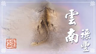 《大話西遊》許氏祿豐龍出土 大陸第一具完整恐龍化石