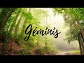 ♊ GÉMINIS / GIRO INESPERADO. TU TE LO MERECES. UN ACONTECIMIENTO TE HARÁ VER LA REALIDAD