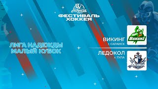 Викинг (Саранск) - Ледокол (Тула) | Лига Надежды. Малый кубок (13.05.2024)