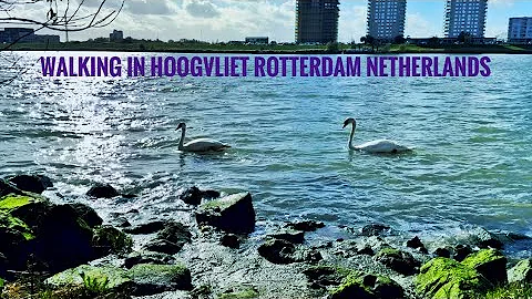 Walking in Hoogvliet Rotterdam Netherlands