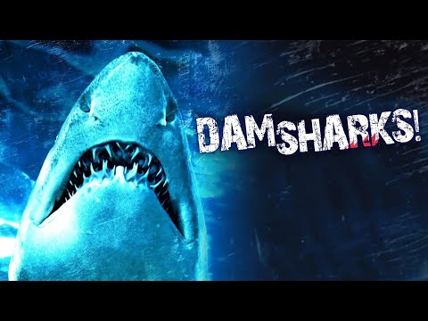 Dam Sharks / Music video