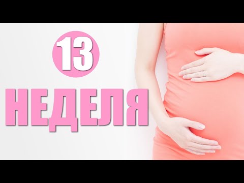 Развитие плода на ТРИНАДЦАТОЙ НЕДЕЛЕ беременности. Определение пола ребенка