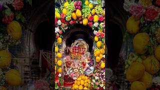 . jagat pita  Brahmaji🥭🙌 Pushkar Raj🥭🥭🥭🥭🙏❤️🔔🚩🔱