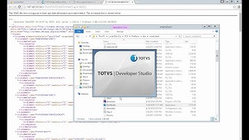 HOW TO - TOTVS APS - Atualização de WebServices Protheus para integração com TOTVS APS