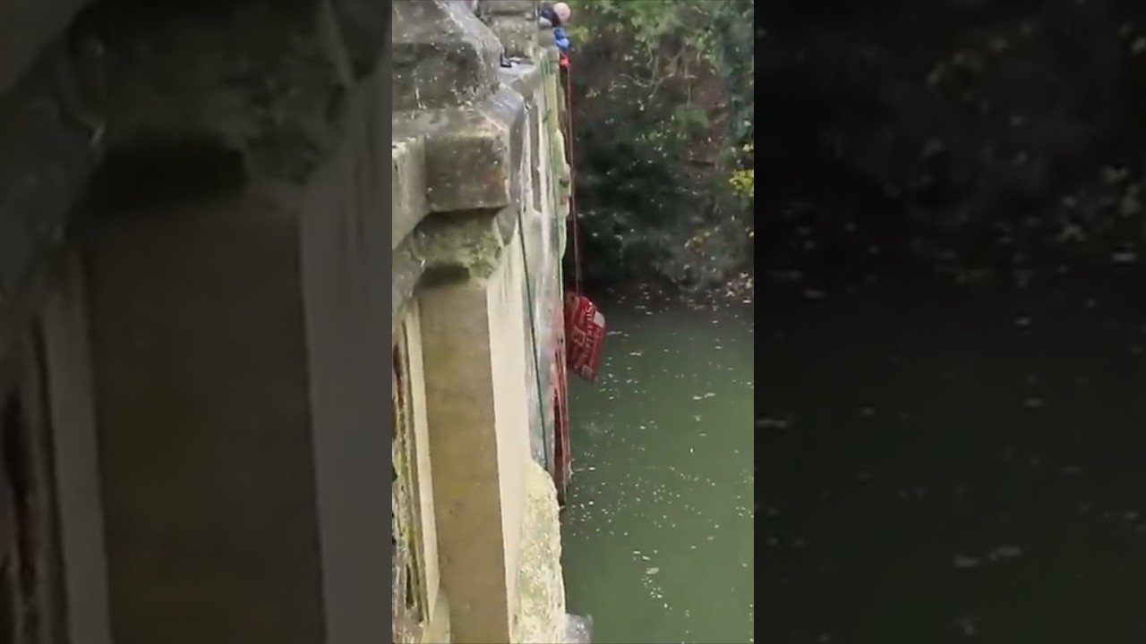 Once in a Lifetime Find... This is Incredible. #shorts