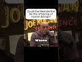 Could the Neanderthal be the offspring of Human Beings? #jre #joerogan #joeroganexperience