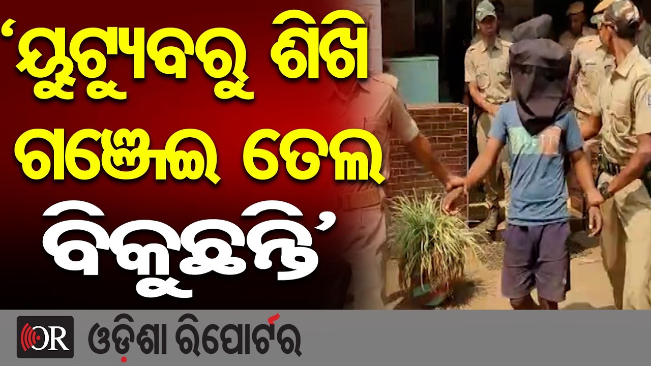 ‘ୟୁଟ୍ୟୁବରୁ ଶିଖି ଗଞ୍ଜେଇ ତେଲ ବିକୁଛନ୍ତି’ | Odisha Reporter