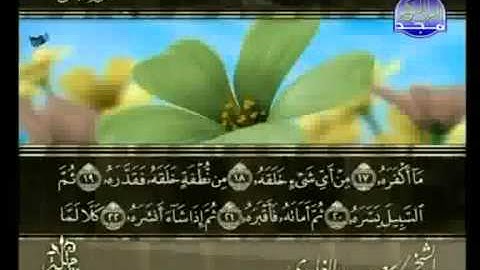 سورة عبس كاملة الشيخ سعد الغامدي