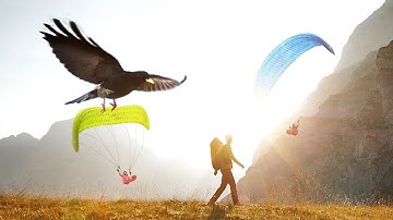 Paragliding PROS AND CONS