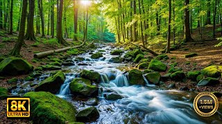 📍🌿Amazon jungle In 4K l Beautiful bird&#39;s . Natural Vibes l water fall l Natural view l 🌿💫