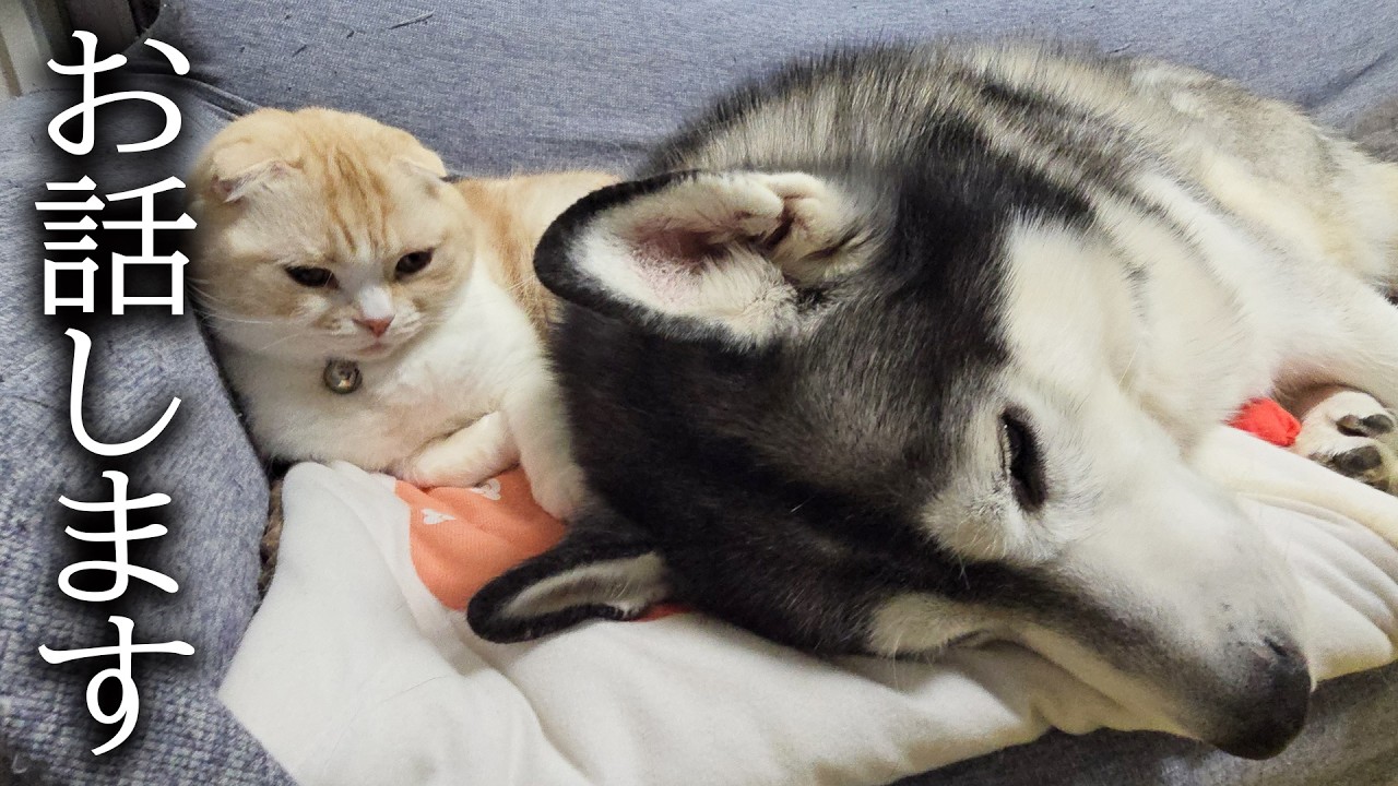 身体に異変を発見しました...