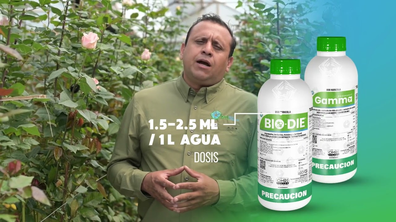 Manejo Orgánico de Trips en Cultivos Ornamentales sin Generar Resistencia | Casos de Éxito PTI