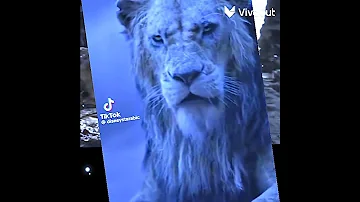 سيمبا خد نظره حسد اصل ابوه ميت اسد هو اخو عايز الفساد 