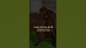 #القران_الكريم #اكسبلور #تيك_توك #المصحف #دويتو #تلاوه_خاشعه #ترند #خيل #duet #لايك