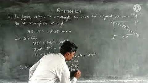 Class 8 /Maths/Chapter:13/Understanding Quadrilaterals/Exercise:13.4