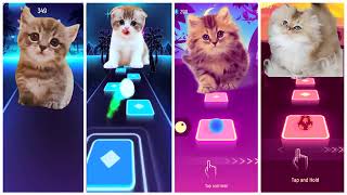 Cute Cats Bongo Cat. Believer Vs Imagine Dragons Vs J.i.d Vs Blackpink. Tiles Hop