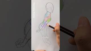 Drawing the Human Body : High Angle (+simple anatomy)
