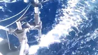 Wind Vane Self Steering South Atlantic S 600 Sailing Downwind Fast.