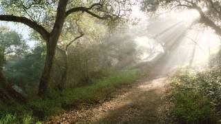 Peter Broderick -- Looking - Thinking