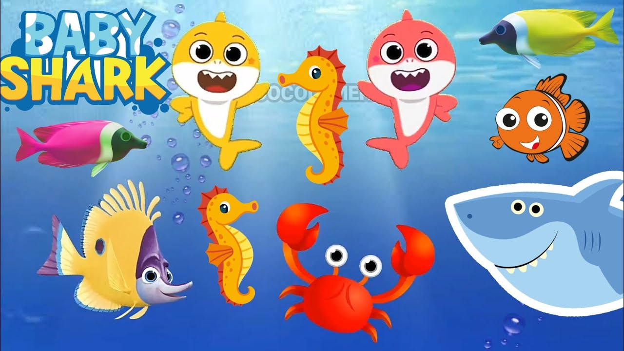 Little Baby Shark Dance at ocean, Baby Shark song, Baby Shark doo doo