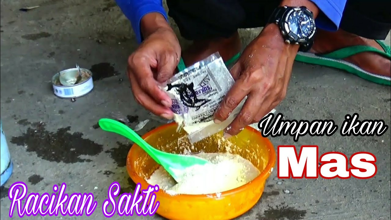 Featured image of post Umpan Ikan Mas Kolam Umpan serangga ini lebih mudah didapatkan dan memiliki harga lumayan murah