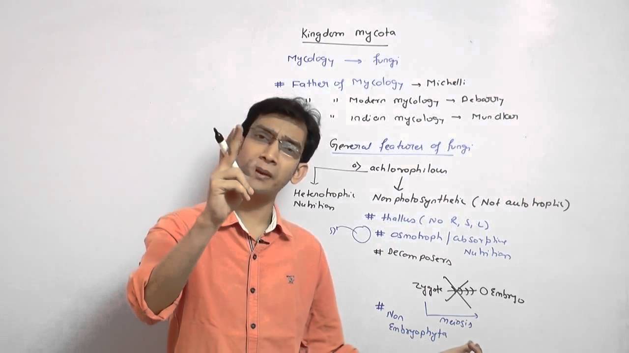 mycota /kigdom fungi /biological classification for AIPMT,CMPT,AIIMS