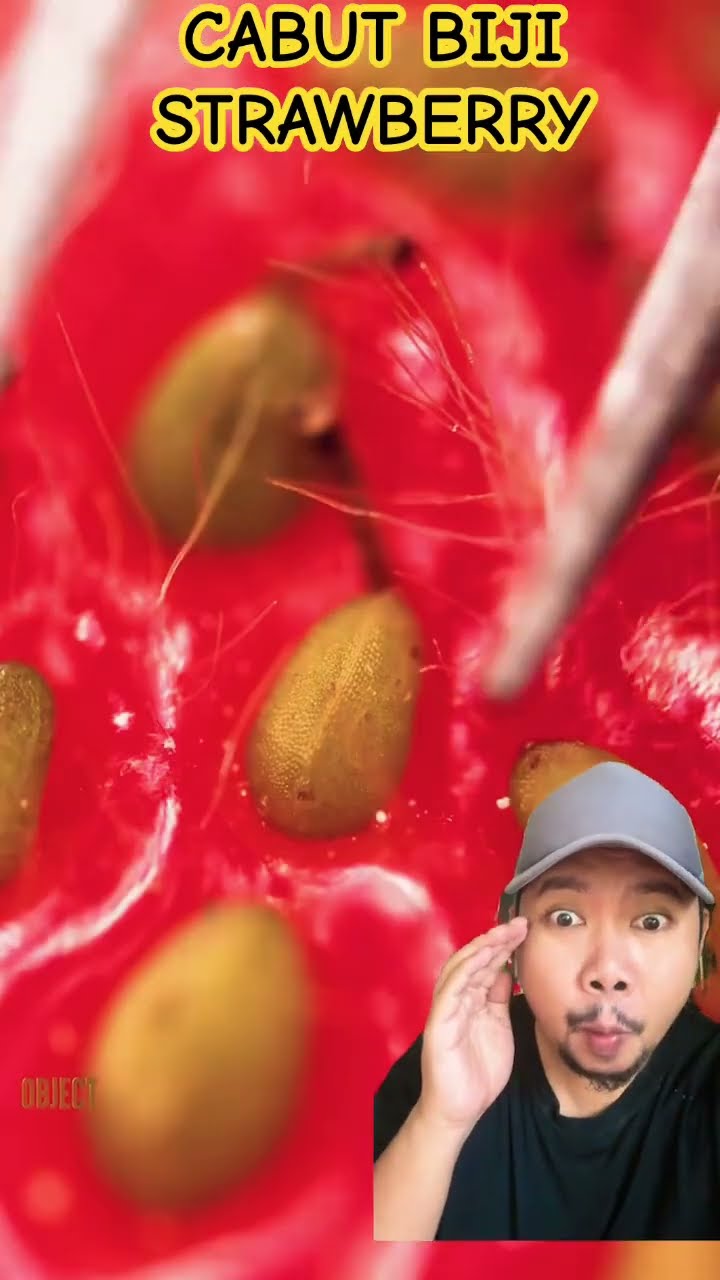 CABUT BIJI STRAWBERRY!!!? #satisfying #oddlysatisfying #fruit #shortsfeed