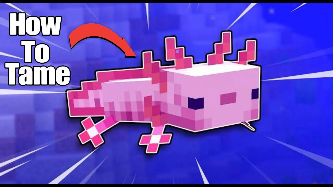 How To Tame Axolotl Minecraft YouTube