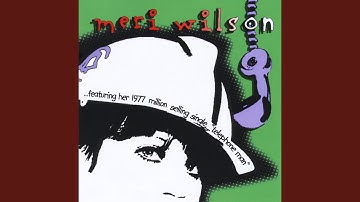 Peter the Meter Reader