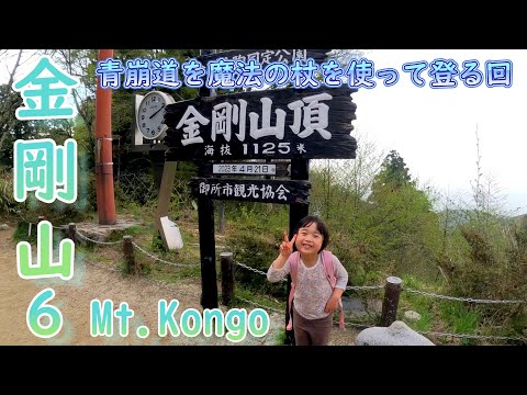 屏風(山岳中のタカの神殿) 屏風(山岳中のタカの神殿) Kyoto, Japan] Takeisao-jinja Shrine