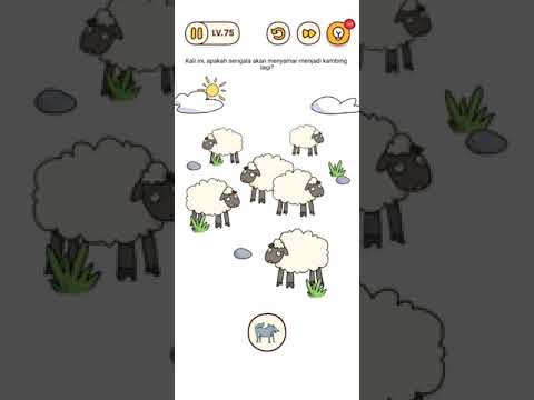 Brain Find Level. 75 Kali Ini Apakah Serigala Akan Menyamar Menjadi Kambing Lagi