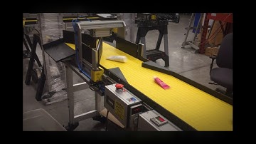 Box Filler Packaging Conveyor - Sorts and Counts
