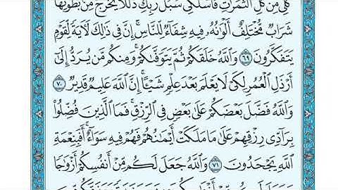 تلاوة سورة النحل من الآية 70 إلى الآية 73