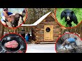7-Spring-Days at the Off Grid Log Cabin! - POLAR DIP, Fish Pond Cam (with Jackery Solar Generator)