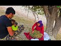 Nomadic Life Journey To The Mountains †Harvesting Pistachios And Brewing Tea In Nature 🌿🠥 Nomadic Life Journey To The Mountains †Harvesting Pistachios And Brewing Tea In Nature 🌿🠥