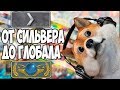 ОТ 1 СИЛЬВЕРА ДО ГЛОБАЛА/ СТРИМ КС ГО/ММ/ СТРИМ ПО КС ГО/ СТРИМ CS:GO БУСТ РОЗЫГРЫШ/КЕЙСЫ/ БЕРКУТ