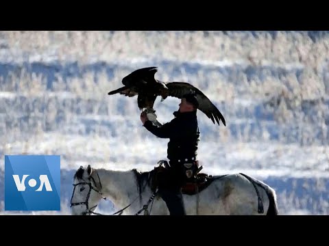 Eagle Hunters Compete at Traditional Kazakh Competition.