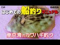 【カワハギ入門】はじめての船釣りマニュアル～東京湾のカワハギ釣り～ ｜ 船最前線