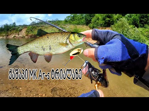 პასიური ქაშაპი სპინინგით MK Ar-s ტრიალაზე Tevzaoba Spiningit