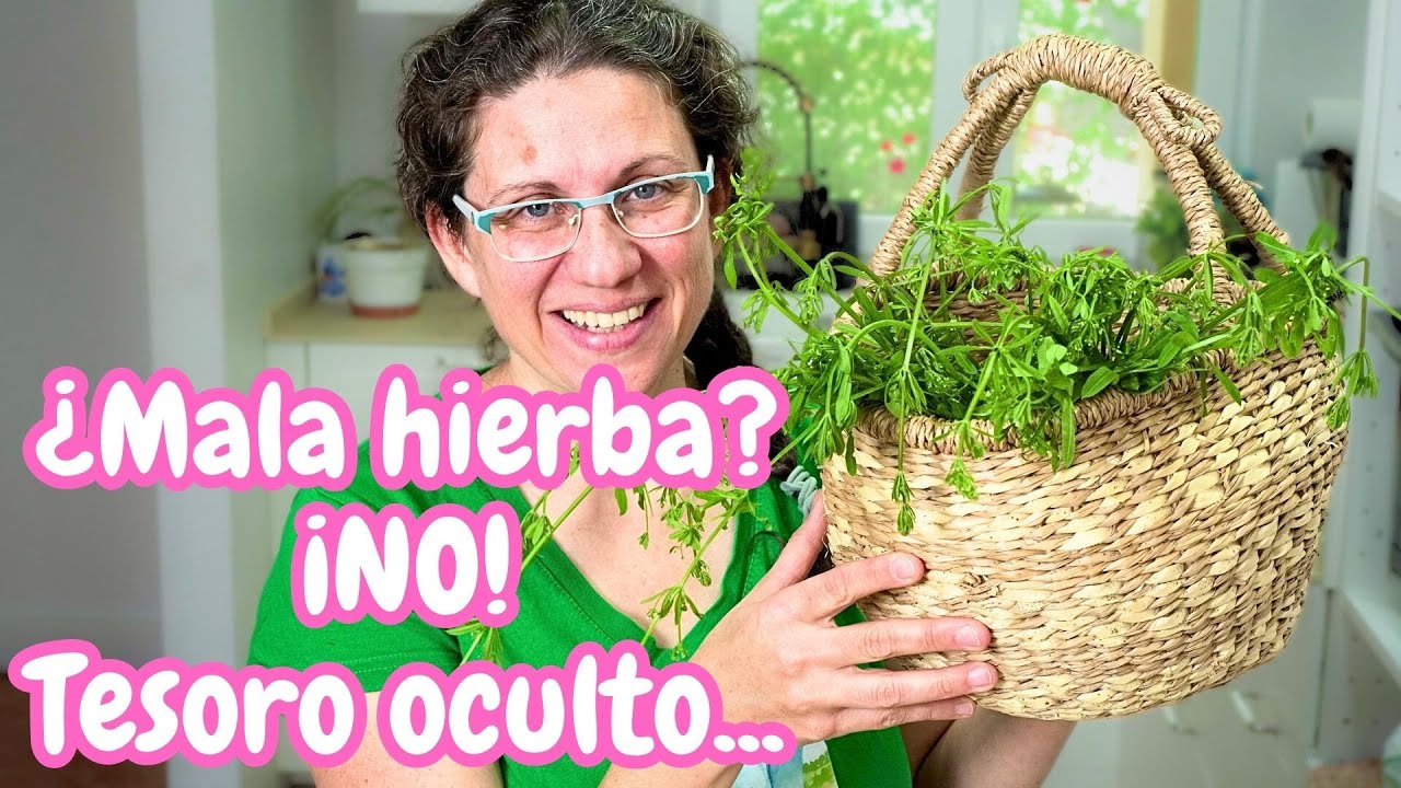 Comestible, depurativa y gratis: el AMOR del HORTELANO