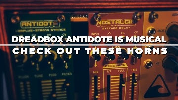 DREADBOX ANTIDOTE SOUND DEMO - IT IS INDEED MUSICAL