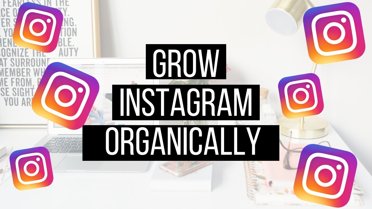 How to Gain Instagram Followers Fast in 2023 (Grow From 0 to 5,000 Followers EASILY!)