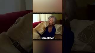 Köpekler Gerçekte Ne Kadar Sadık?