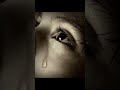 اغنية زنوبة الحبيطرية 