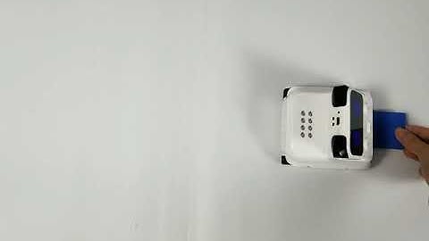 Codey Rocky-Move Detects Different Colors