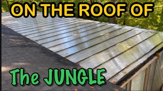On The Roof???? Cleaning The Jungle Roof For Winter