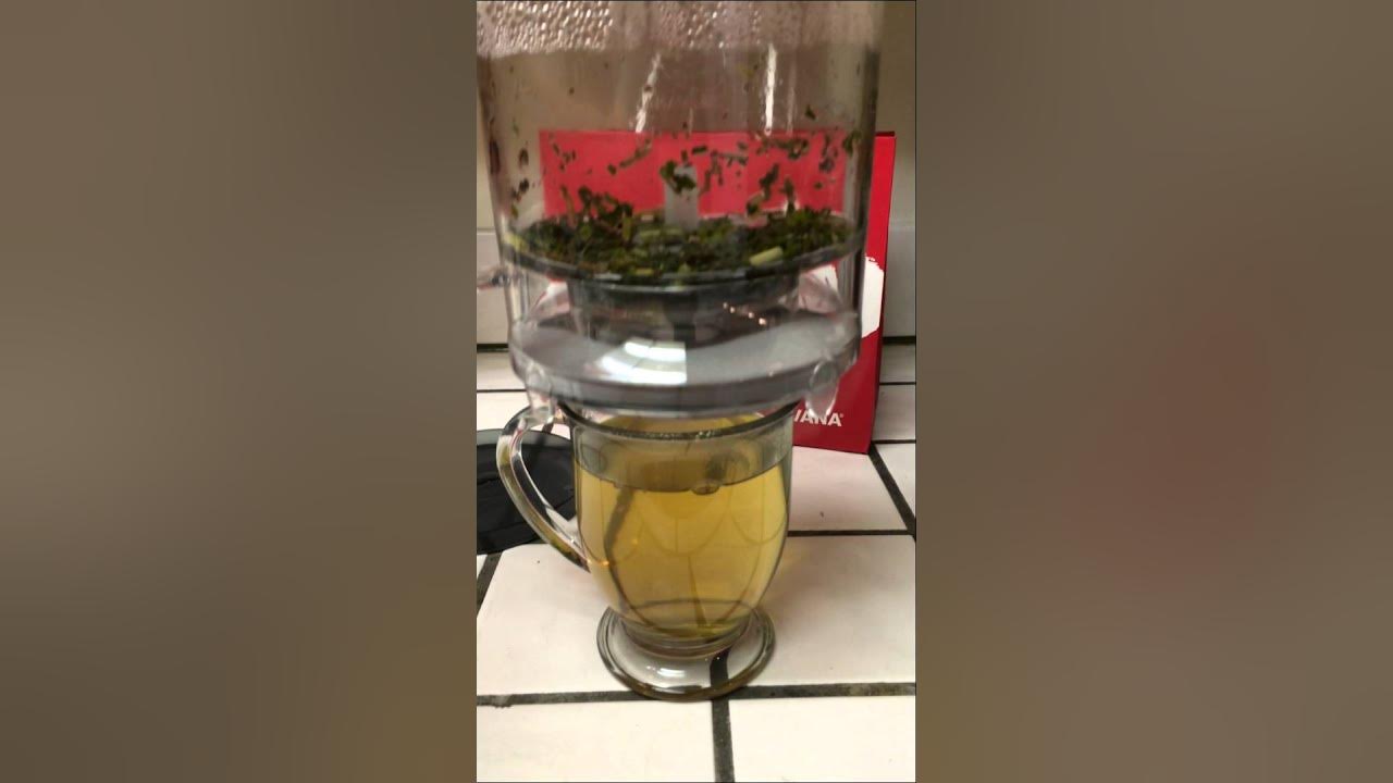How to Use and Clean the Teavana Perfect Tea Maker 2 YouTube
